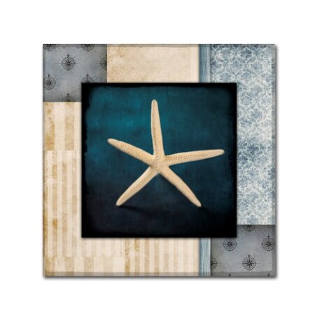 LightBoxJournal 'Blue Sea Starfish' Canvas Art,35x35